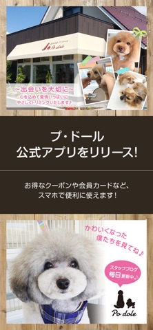 愛犬の店プ・ドール 公式アプリ app screenshot