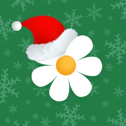 Flor2U: заказ, доставка цветов