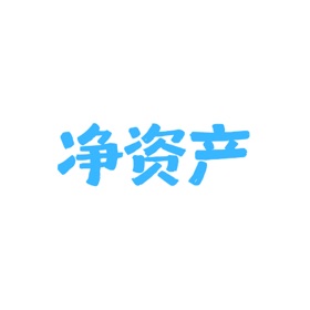 净资产管理 - 资产跟踪与财务分析工具