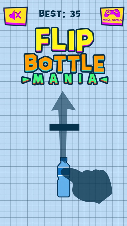 Flip Water Bottle Mania