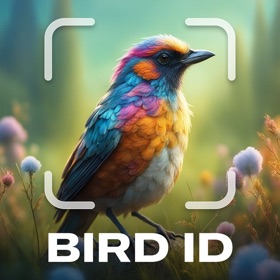 Bird Identifier AI ~ Sound ID