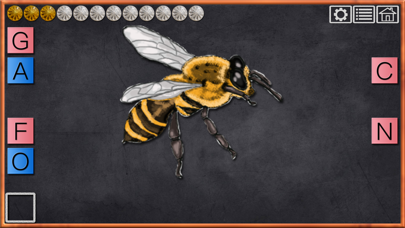 Screenshot #2 pour AbcTiger Sons Initiales