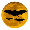 Field Guide to Australian Bats icon