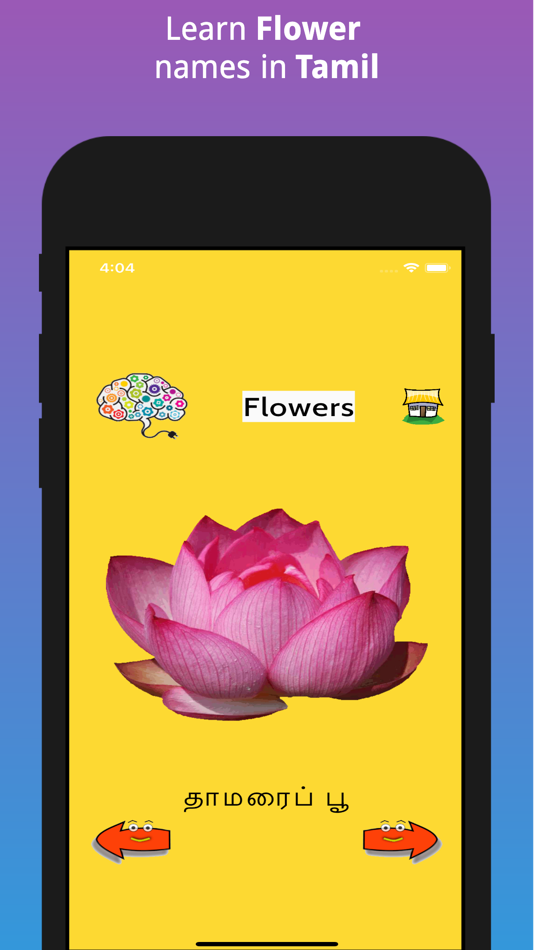 #6. Learn Tamil FlashCards (iOS) Podle: Bala Murugan Chandran
