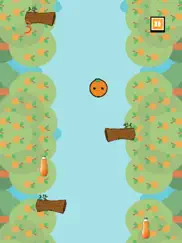 jumping orange pro айпад изображения 3