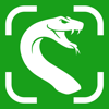 Snake Identifier Reptile ID - Semen Sharyhin