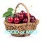 Food as Medicine for Gout