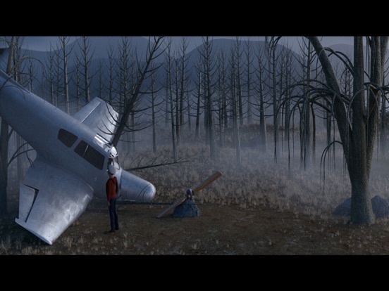 Screenshot #4 pour the Forest - un avion manquant