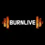 BurnLive Trainer