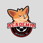 Download Academia Mexicali FC app
