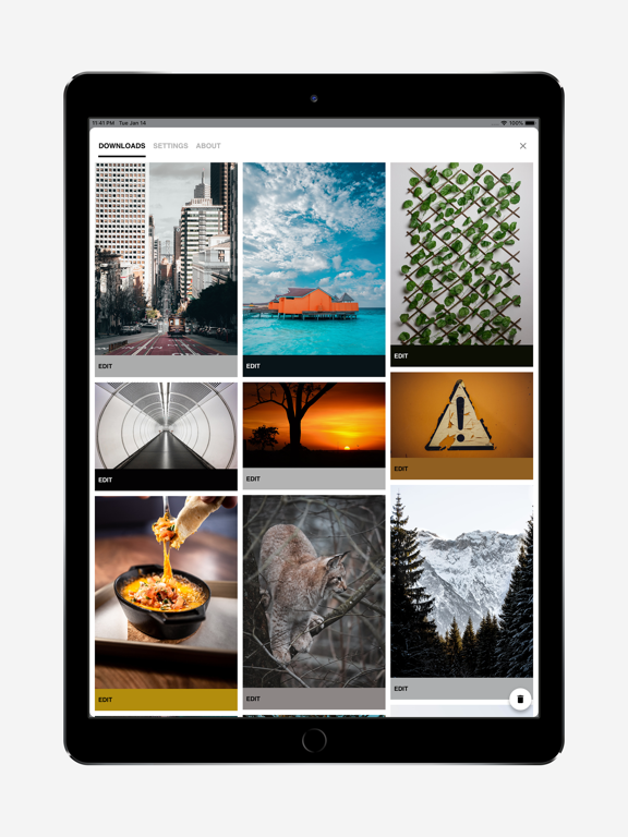 MyerSplash iPad screenshot