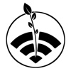 IntelliCulture icon