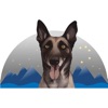 Summit Kennels icon