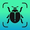 Insect Identifier - Insectium icon