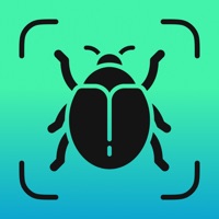 Insect Identifier - Insectium