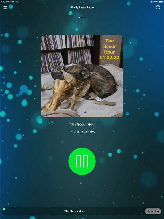 Screenshot #4 pour Shady Pines Radio