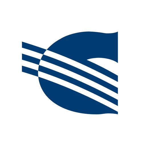 Солид Инвестор