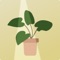 With Bask Light Meter, you can use your device's camera to measure sunlight to help you place your house plants where they will thrive