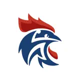 FFHandball - App Icon