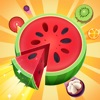 Fruit Slices: Puzzle Sort icon