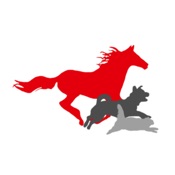 NHT
