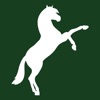 Tier in Balance icon