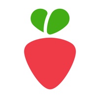 Basket.app : Grocery Shopping app icon - Food & Drink app for iPhone