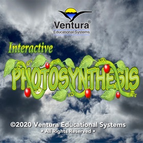 螢幕擷取畫面 (8) Interactive Photosynthesis