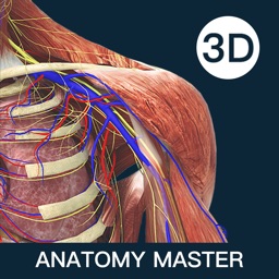 解剖大师-3d运动解剖学习库