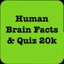 Get Human Brain Facts & Quiz 2000 for iOS, iPhone, iPad Aso Report