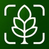 Tree Identifier: Tree id icon