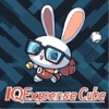 IQExpenseCube icon