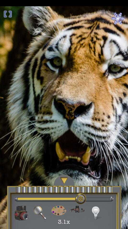 #9. Magnifier (TiAu) (iOS) 由: TiAu Engineering UG haftungsbeschraenkt