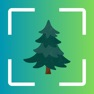 Get AI Tree Identifier: Plant ID for iOS, iPhone, iPad Aso Report