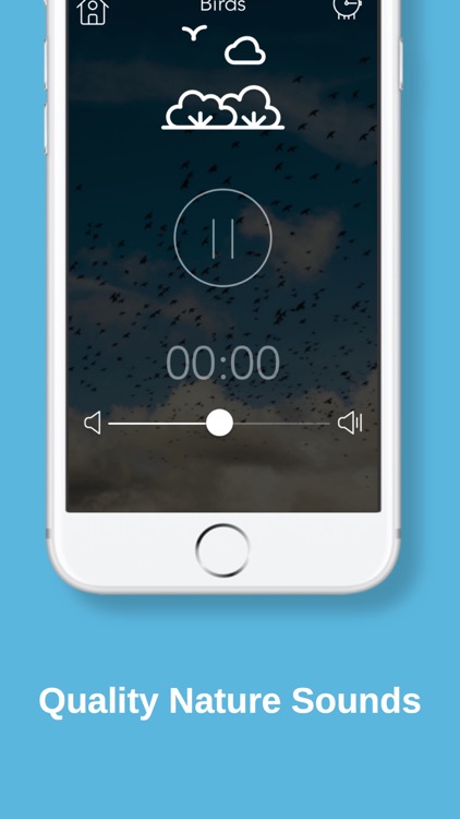 Relaxing Nature Sleep Sounds
