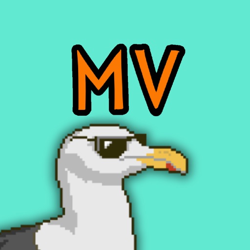 Moewenvibes: Seagull Swoop
