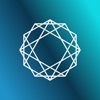 DVM v2 icon