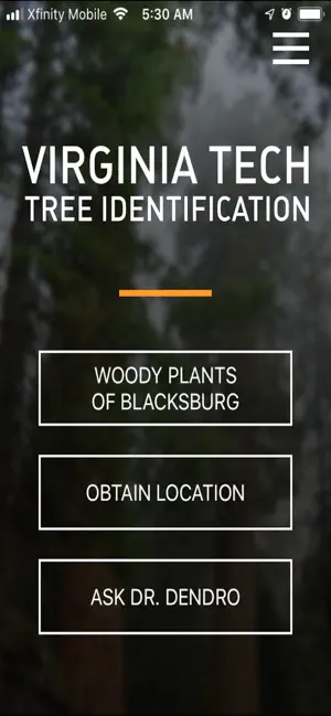 vTree screenshot 1