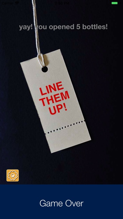 Bottle Smash screenshot-8