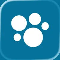 bolha.com