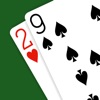 29 Card Game - Expert AI icon