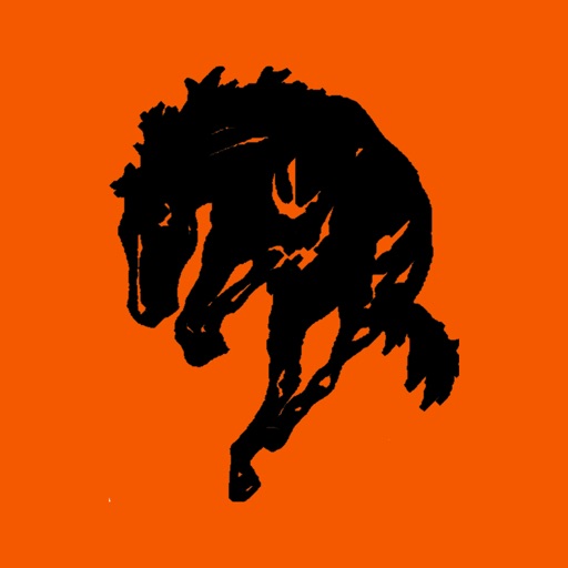 Frenchtown HS Broncs