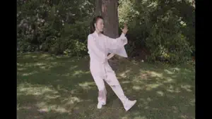 Tai Chi 48 Form screenshot 4