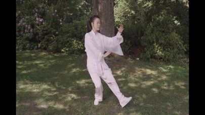 Tai Chi 48 Form Screenshot 4 of 5