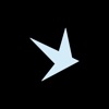 BIRDNEST icon