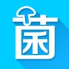 食用菌商务网 icon