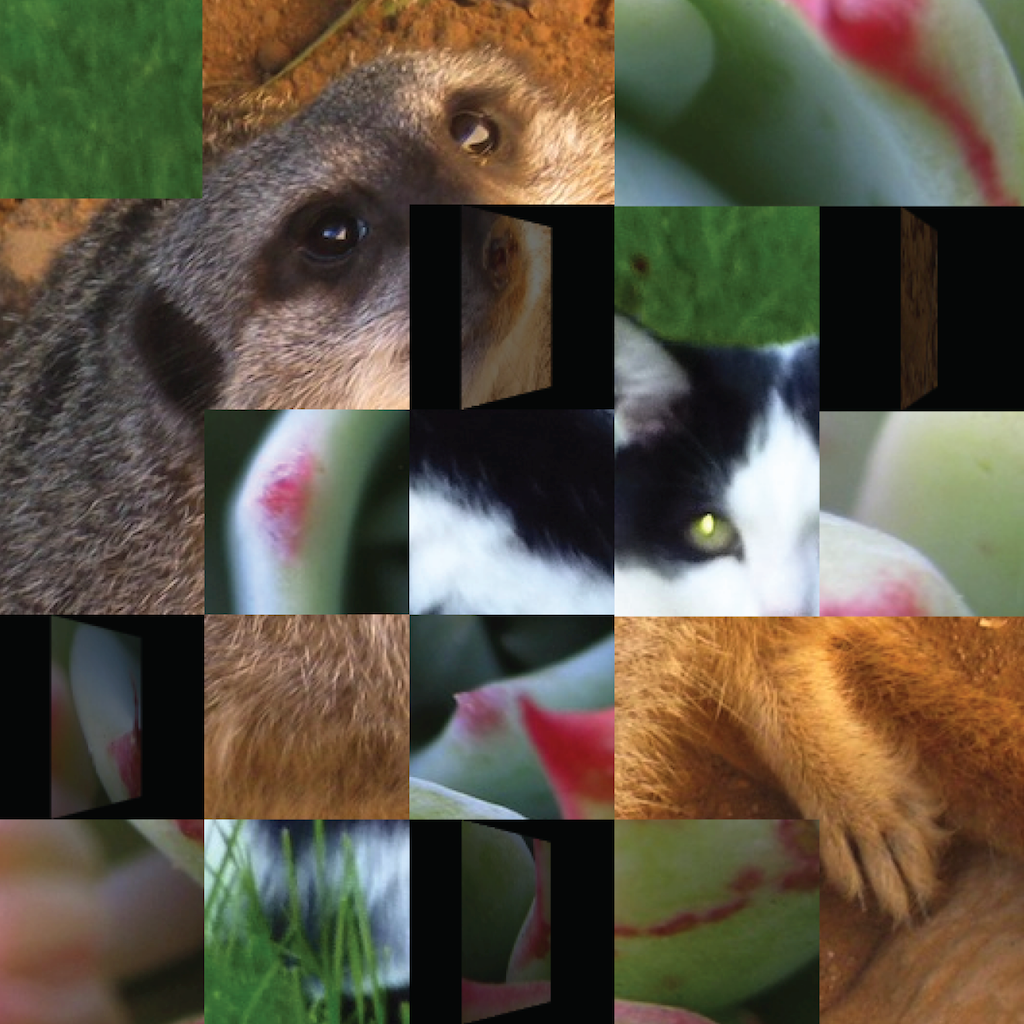 Get Flipping Fun for iOS, iPhone, iPad Aso Report