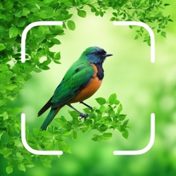 Avifauna Identifier: Birds ID