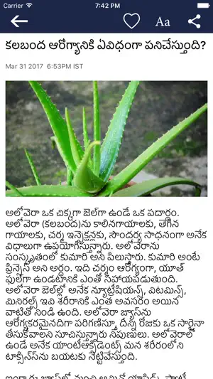 Telugu News Hub screenshot 2