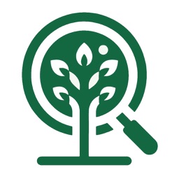 Forest Tree Identification